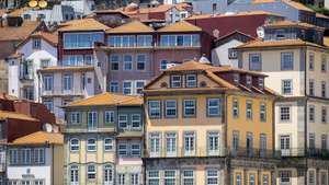 Vista de habitações na zona histórica do Porto, 13 de junho de 2024. JOSÉ COELHO/LUSA